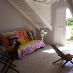 Appartement Enchanteur A Capesterre De Marie Galante 40M² Climatise Rabi Exterior photo