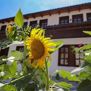 ホテル The House Of Dollma , Inside Kruja Castle Exterior photo