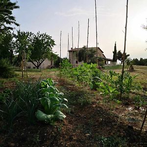 ホテル Casa Rural Restaurante Mas Del Rei カラセイテ Room photo