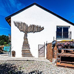 Cortandone Lusi E In Collina Bed & Breakfast Exterior photo