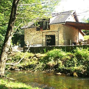 Bersac-sur-Rivalier Moulin Du Xiieme Siecleヴィラ Exterior photo