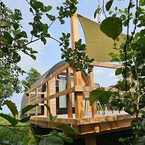 ホテル Tiny House De Skierroek Westergeest Exterior photo