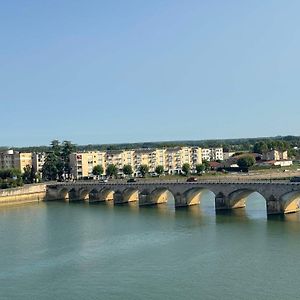 MâconLe Jean Jaures - Vue Imprenable Sur La Saoneアパートメント Exterior photo