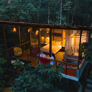 ホテル Puyu Glamping Amazon Parroquia Tarqui Exterior photo