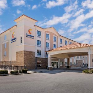 Comfort Inn & Suites ティフトン Exterior photo