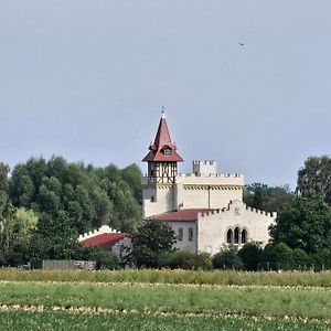 ホテル Burg Schleibnitz Bei Wanzleben Exterior photo