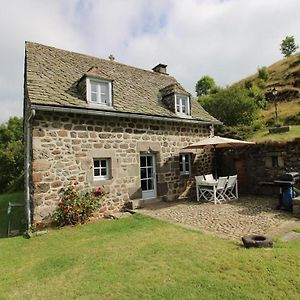 Albepierre-Bredons Charmante Maison Au Coeur Du Parc Des Volcans D'Auvergne, Ideale Pour 4 Pers Avec Cheminee Et Jardin - Fr-1-742-371ヴィラ Exterior photo