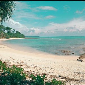 ホテル Mallick Palace Neil Island South Andaman Ram Nagar Exterior photo