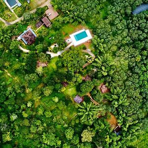 Misty Night Jungle Side Resort Pulpally Exterior photo