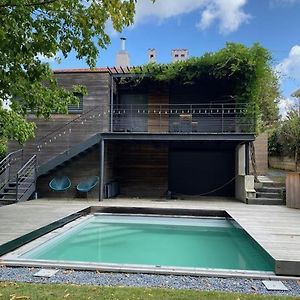 Pibrac Maison Familiale Avec Piscineヴィラ Exterior photo