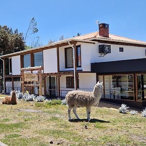 ホテル La Maison D'Urbina Chimborazo Exterior photo