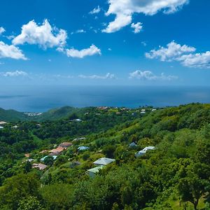 ホテル Domaine Madinina Le Morne-Vert Exterior photo