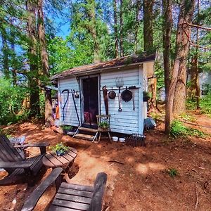 Glenfield The Stabbin Cabin On Grant Island, Brantingham Lake - Hottub, Boat, Pet Friendlyヴィラ Exterior photo