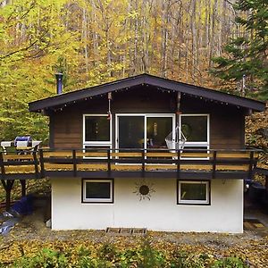 Lac Sainte-Marie Chalet Dans Les Arbres. 3 Ch. /Trees House 3Bdrヴィラ Exterior photo