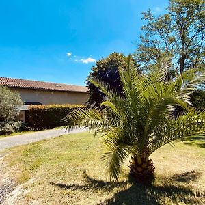 ホテル Domaine De Canteloup Au Coeur Des Vignes Avec Piscine Saint-Caprais-de-Bordeaux Exterior photo