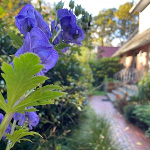 Loh Apartments - Wald.Natur.Ruhe. ウンデロー Exterior photo