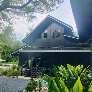 ランサカ The Creek Haus Bed & Breakfast Exterior photo