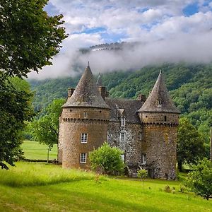 Anglards-de-Salers Chateau De Longevergne Bed & Breakfast Exterior photo