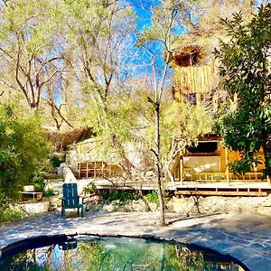 パイウアノ La Casa Entre Los Arboles En El Valle De Elqui Montegrandeヴィラ Exterior photo