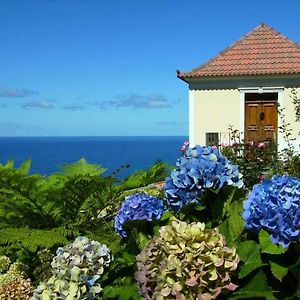 Arco de São Jorge Quinta Das Hortensiasヴィラ Exterior photo