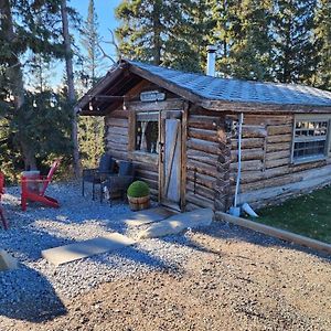 Waiporous Village 100 Year Old Log Cabinモーテル Exterior photo