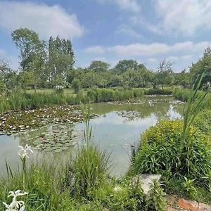 Sarceaux Maison De Caractere Avec Jardin, Proche D'Argentan, Ideale Pour Peche Et Detente En Campagne - Fr-1-497-131ヴィラ Exterior photo