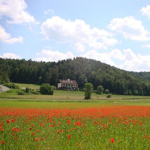 ホテル Waldpension Rabeneck ヴァイシェンフェルト Exterior photo