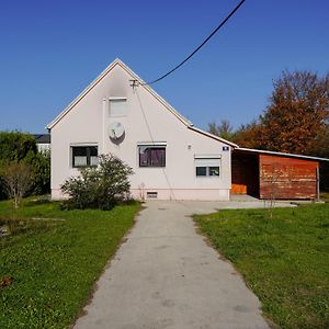 Spacious House With 5 Rooms ウィーン Exterior photo