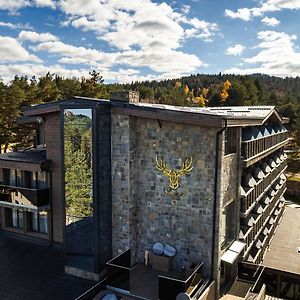 Brentas Spa Resort ツィゴフ・チャルク Exterior photo