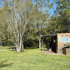 ハンツビル Cabin 1 Remote Cabin Next To Sam Houston National Forestヴィラ Exterior photo