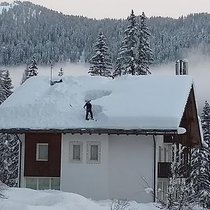 Hotel Ca' Del Bosco セルヴァ・ディ・カドーレ Exterior photo