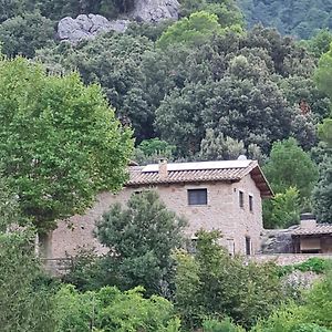 La Casa Encantada Guest House Alfara de Carles Exterior photo