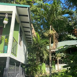 カリージョ Luxury Jungle On A Budget Wisdom Bnb Bed & Breakfast Exterior photo