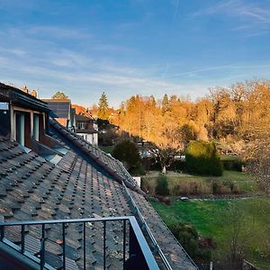 Above The Roofs Of Bernアパートメント Exterior photo