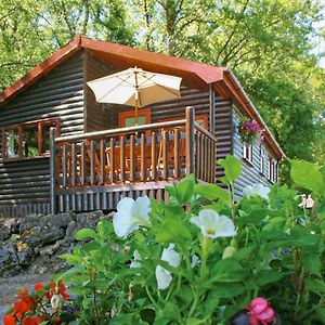 ホテル Garnffrwd Park Llanddarog Exterior photo