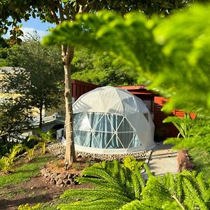 ホテル The Secret Garden - Glamping Grenada Morne Rouge Exterior photo