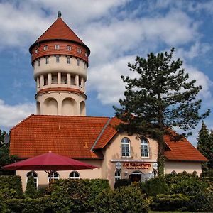 ホテル Am Wasserturm Pension バート・ムスカウ Exterior photo