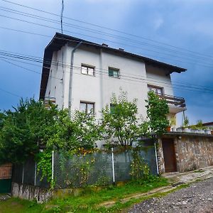 Topuzovi Guest House ドブリニシュテ Exterior photo