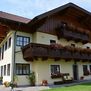 Appart Weisse Urlauben Am Wolfgangsee ザンクト・ギルゲン Exterior photo