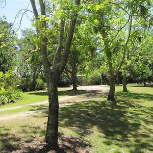 ホテル Summerhills Retreat Byron Bay Binna Burra Exterior photo