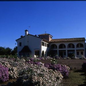 モンテベッルーナ Agriturismo Due Torri Bed & Breakfast Exterior photo