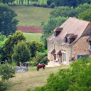 Nailhac Le Domaine Du Cerneau Bed & Breakfast Exterior photo