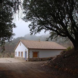 Casa Rural Las Encinas マルチェナ Exterior photo