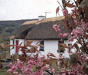 Connemara Country Cottages ゴールウェイ Exterior photo