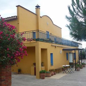 Vilamacolum Can Selleretas Bed & Breakfast Exterior photo