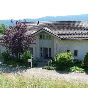 Schmerikon Bnb Goldberg Bed & Breakfast Exterior photo