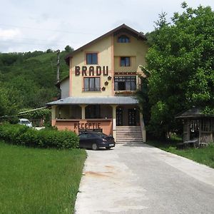 ホテル Pensiunea Bradu Piatra Neamţ Exterior photo