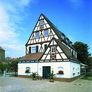 Landhotel Altes Wasserwerk Gbr フラインスハイム Exterior photo