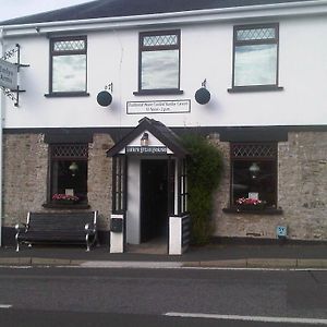 Llanarthney Emlyn Arms Bed & Breakfast Exterior photo