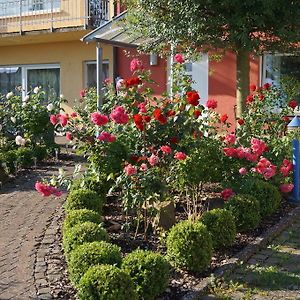 Kapellen-DrusweilerFerienhaus Schloss-Gartenアパートメント Exterior photo